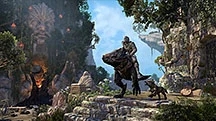 DLC